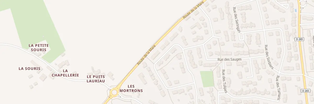 Plan du 24 Rue des Mortrons à Sargé-lès-le-Mans