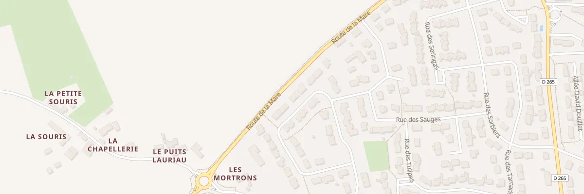 Plan du 22 Rue des Mortrons à Sargé-lès-le-Mans