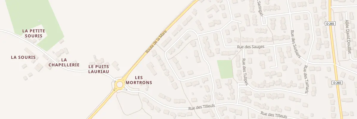 Plan du 21 Rue des Mortrons à Sargé-lès-le-Mans