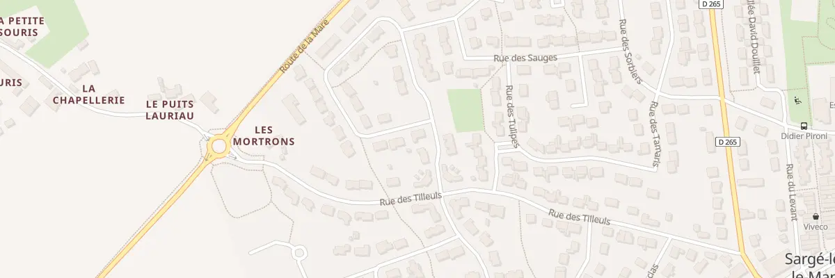 Plan du 5 Rue des Mortrons à Sargé-lès-le-Mans