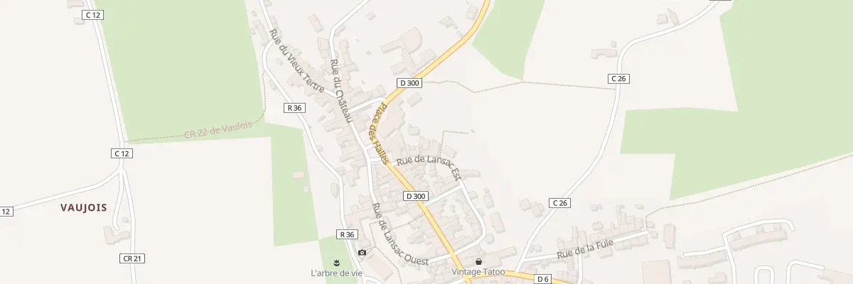 Plan du 6 Rue de Lansac Est à Ballon-Saint Mars