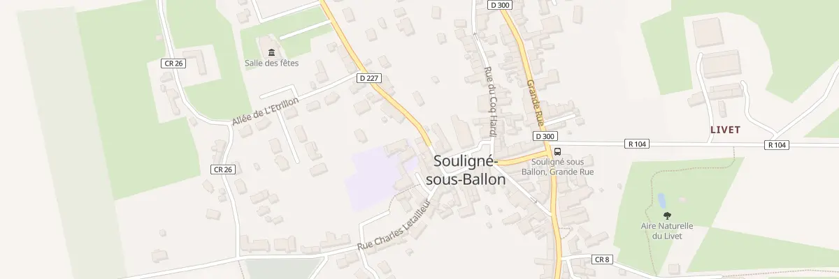 Plan du 5 Rue Saint Martin à Souligné-sous-Ballon