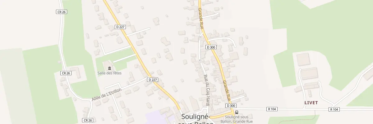 Plan du 9 Rue du Coq Hardi à Souligné-sous-Ballon