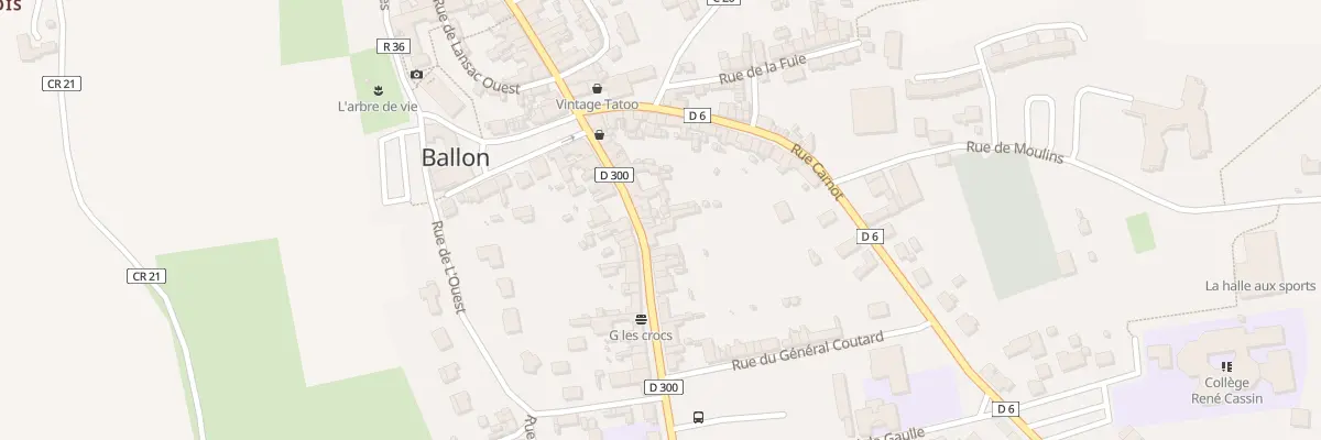 Plan du 21 Rue du General Leclerc Ballon à Ballon-Saint Mars