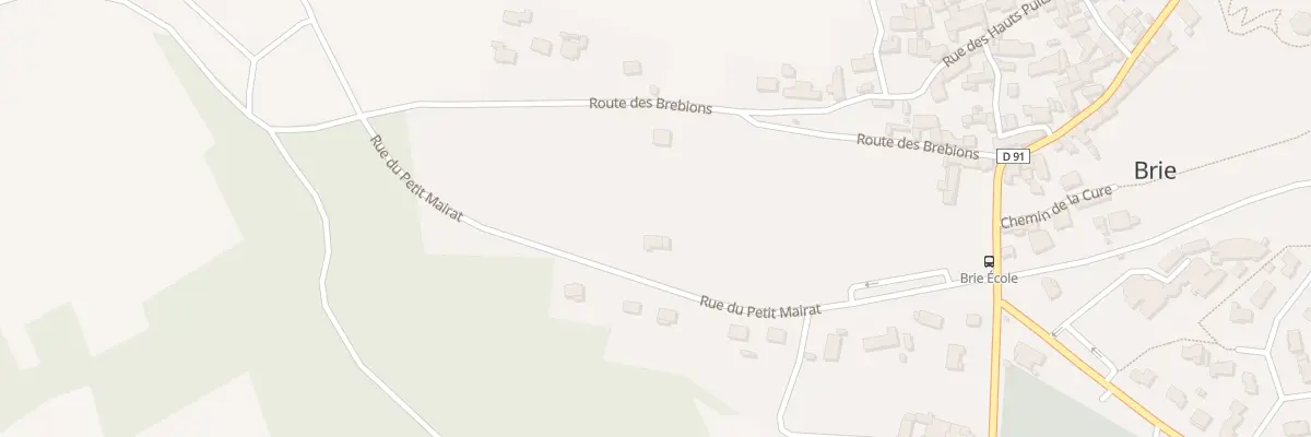 Plan du 254 Rue du Petit Mairat à Brie