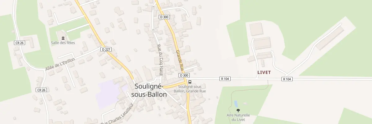 Plan du 1 Crs des Vergers à Souligné-sous-Ballon