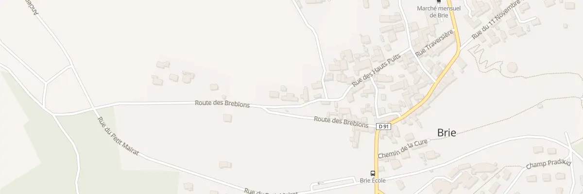 Plan du 234 Rue des Hauts Puits à Brie