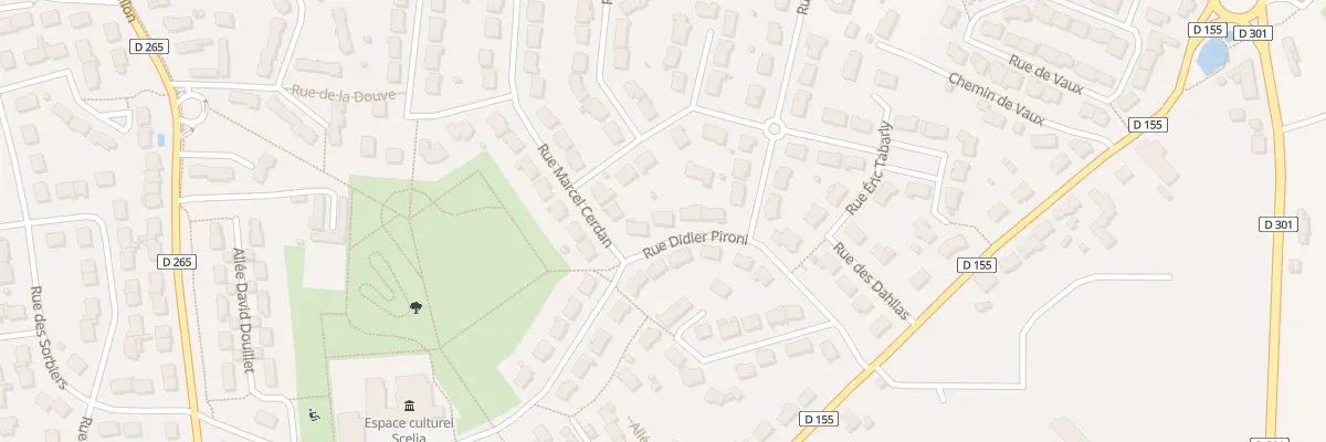 Plan du 6 Rue Didier Pironi à Sargé-lès-le-Mans