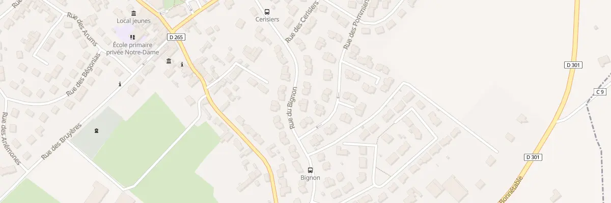 Plan du 29 Rue du Bignon à Sargé-lès-le-Mans