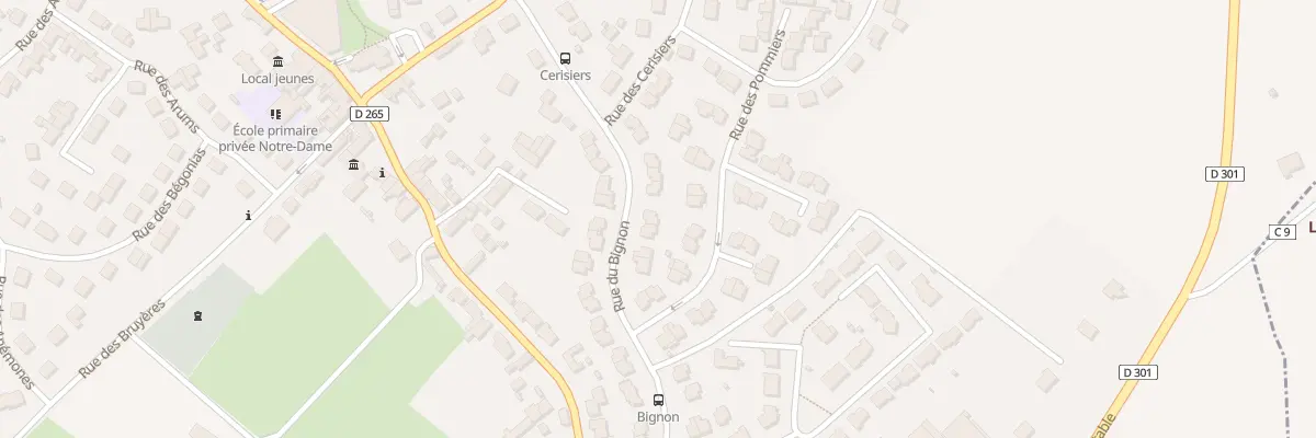 Plan du 25 Rue du Bignon à Sargé-lès-le-Mans