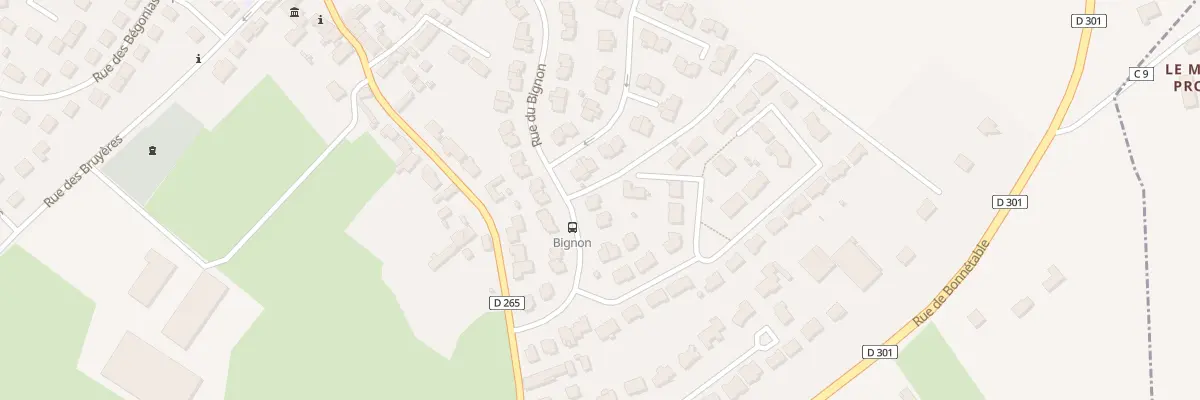 Plan du 39 Rue du Bignon à Sargé-lès-le-Mans