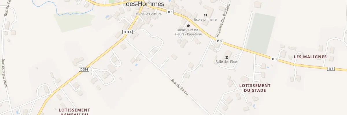 Plan du 878 Rue de Belou à Saint-Laurent-des-Hommes