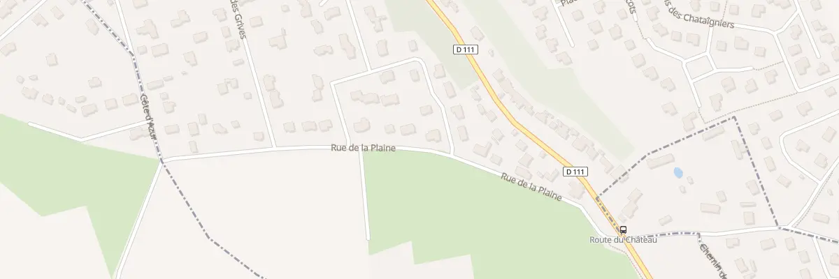 Plan du 21 Rue de la Plaine à Saint-Laurent-de-Brèvedent