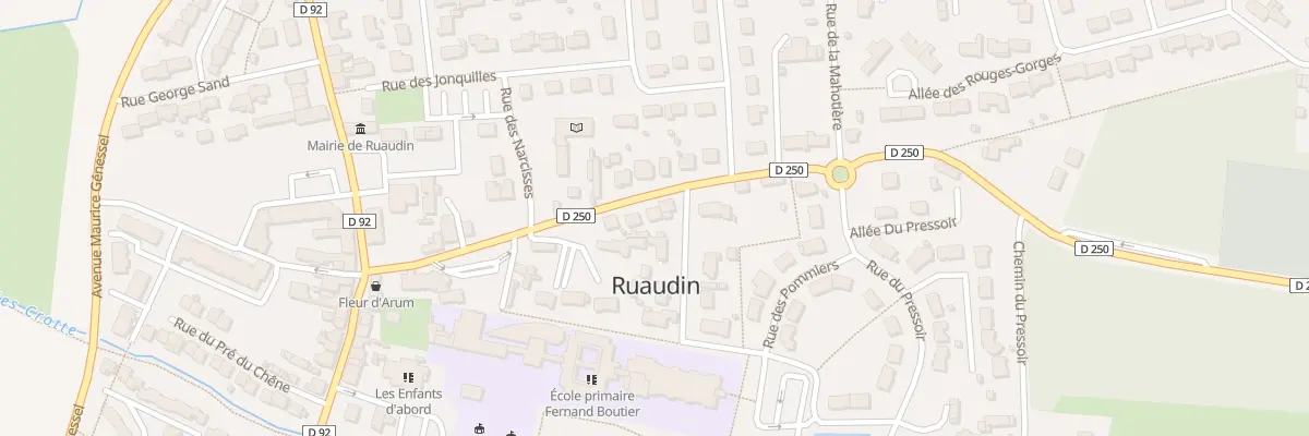 Plan du 20 Rue de Parigné l’Evêque à Ruaudin