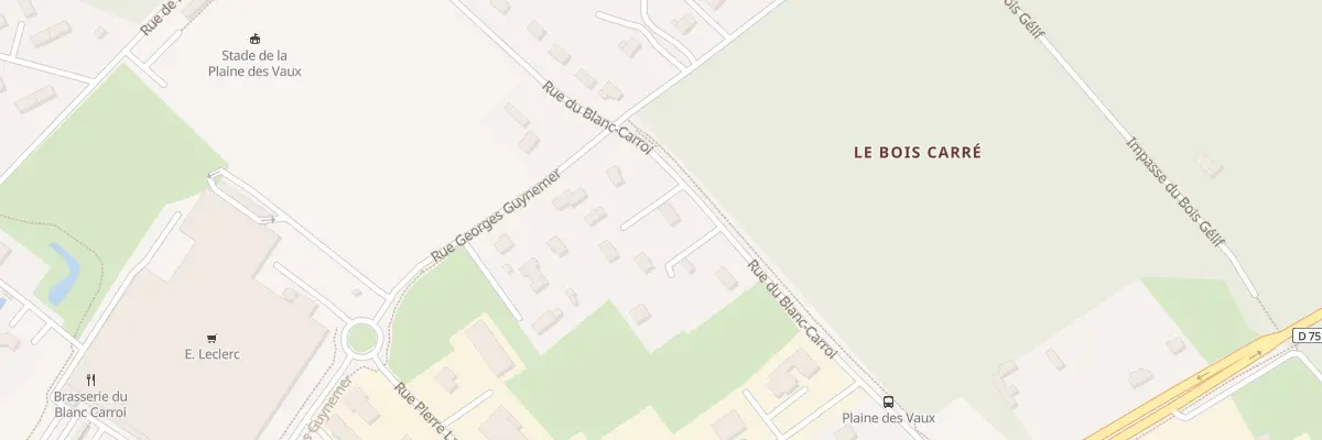 Plan du 30 Rue du Blanc Carroi à Chinon
