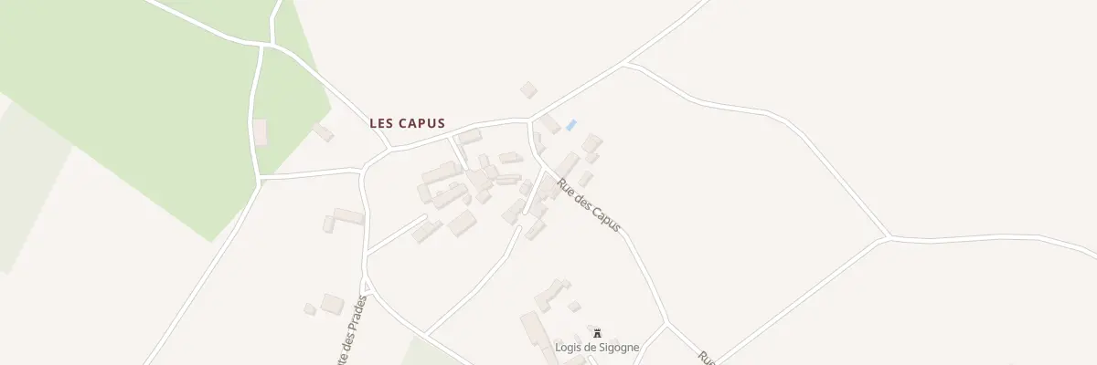 Plan du 219 Rue des Capus à Coulgens