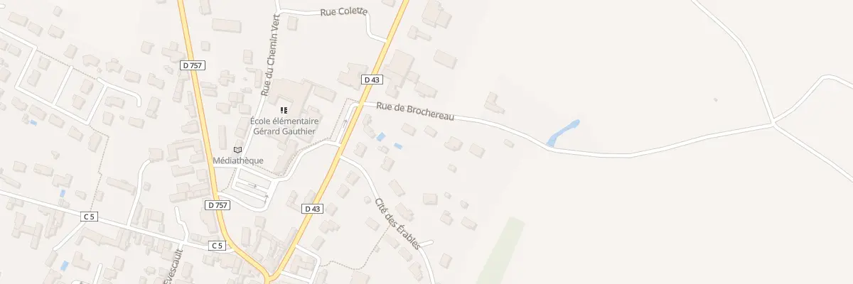 Plan du 6 Rue de Brochereau à Saint-Martin-la-Pallu
