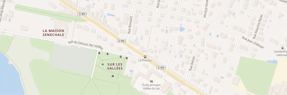 Plan du 43 Av du Gen de Gaulle à Château-la-Vallière