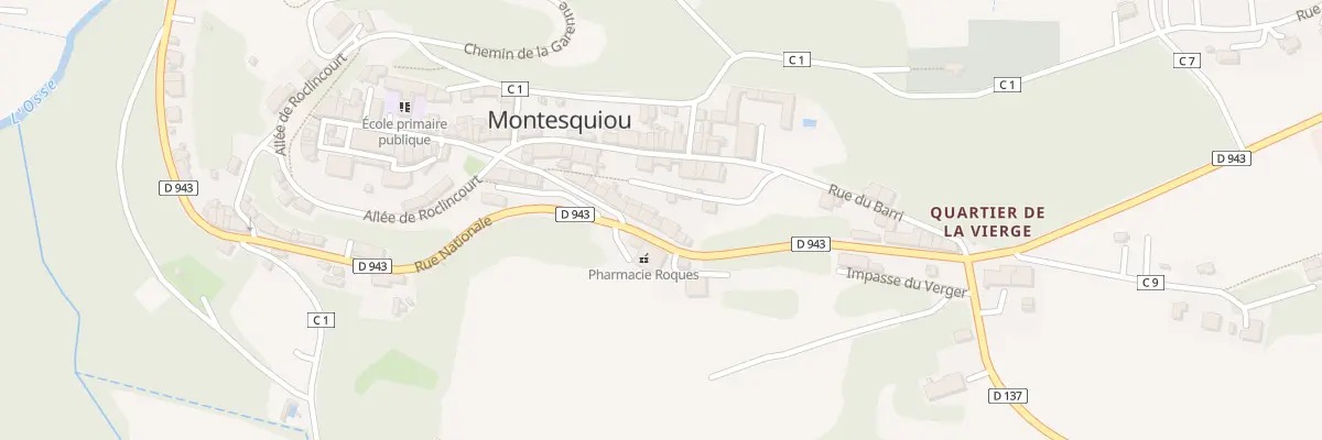 Plan du 29 Rue Nationale à Montesquiou