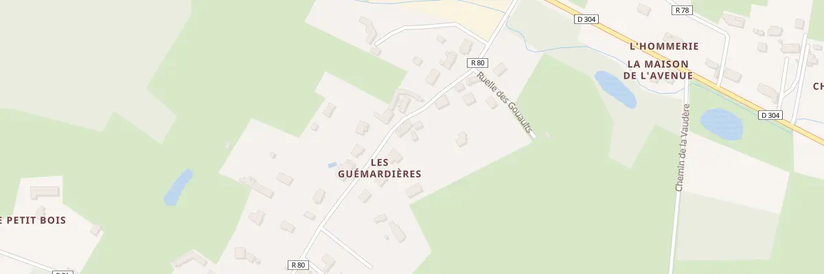 Plan du 205 Les Guemardieres à Parigné-l’Évêque