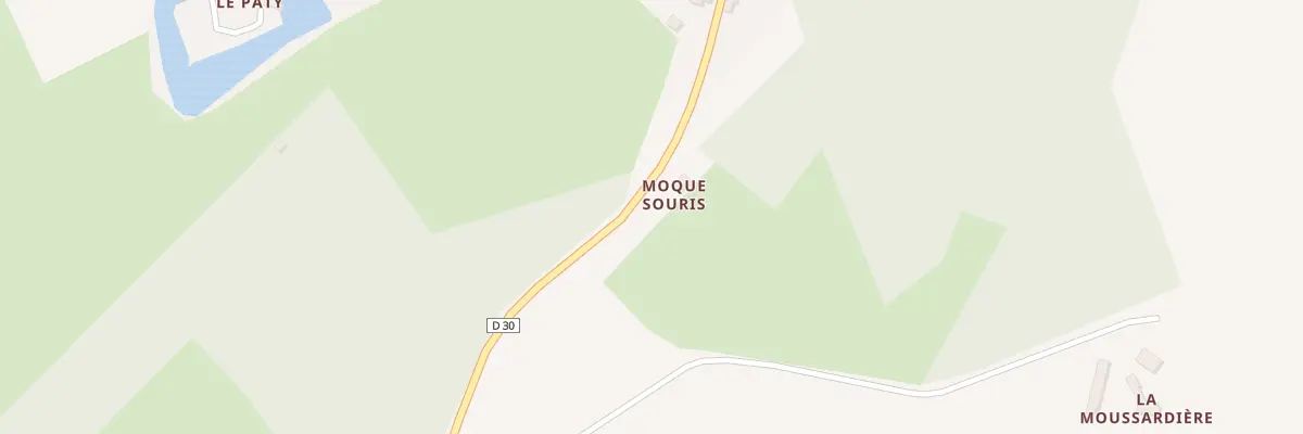 Plan du 5001 Le Moque Souris à Chenu