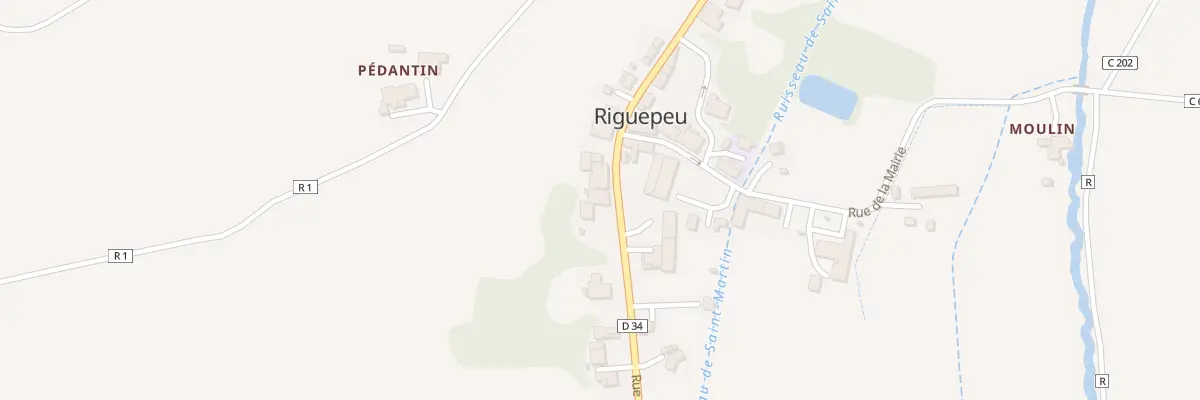 Plan du 220 Rue des Pyrénées à Riguepeu