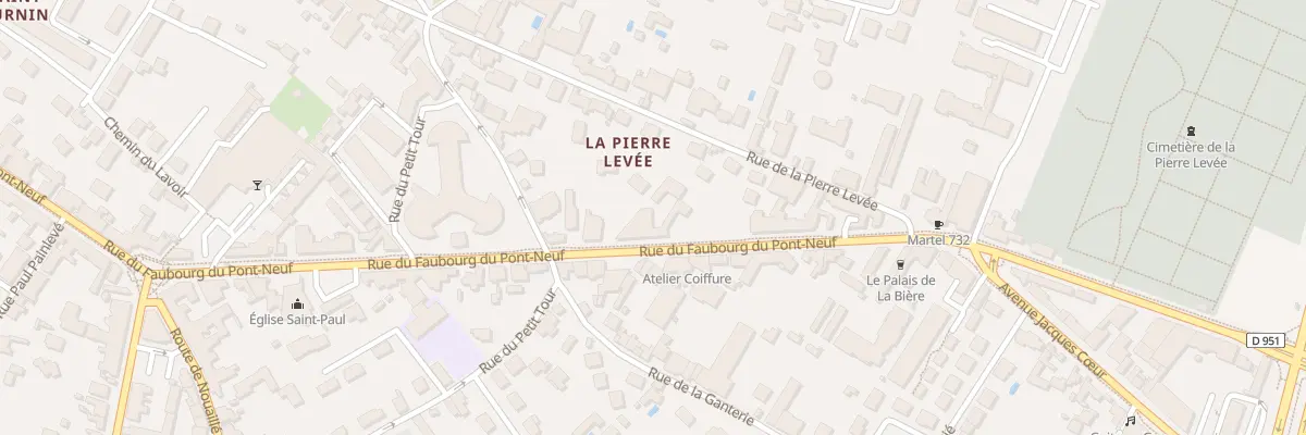 Plan du 219 Rue du Fg du Pont Neuf à Poitiers