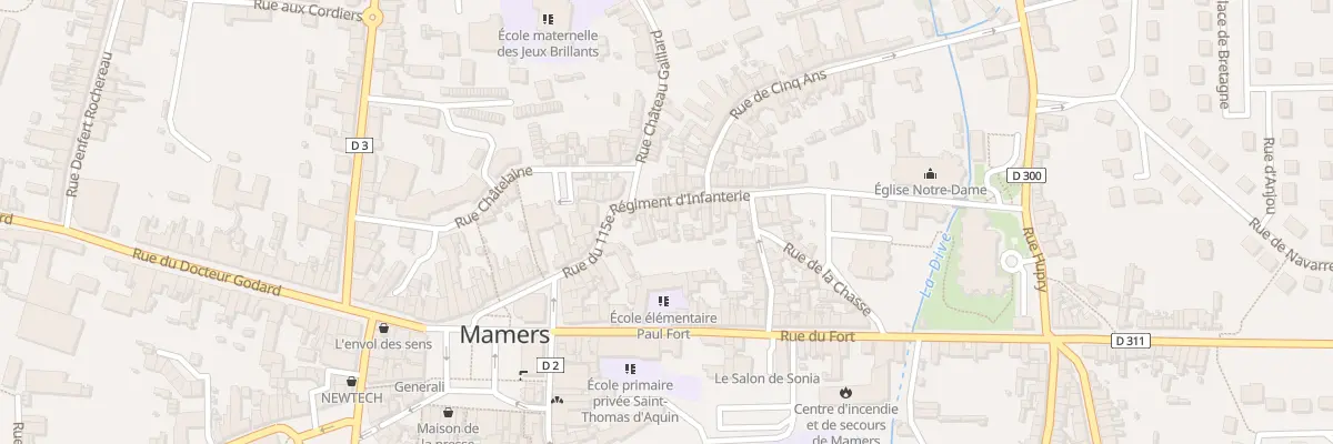 Plan du 31 Rue du 115eme Ri à Mamers