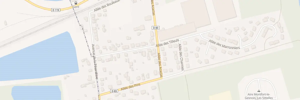 Plan du 20 All des Tilleuls à Montfort-le-Gesnois
