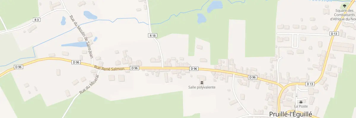 Plan du 38 Rue René Salmon à Pruillé-l’Éguillé