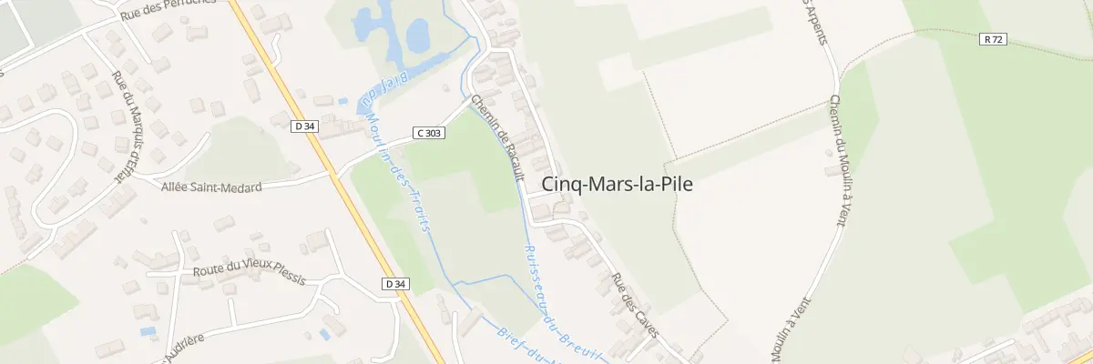 Plan du 49 Rue des Caves à Cinq-Mars-la-Pile