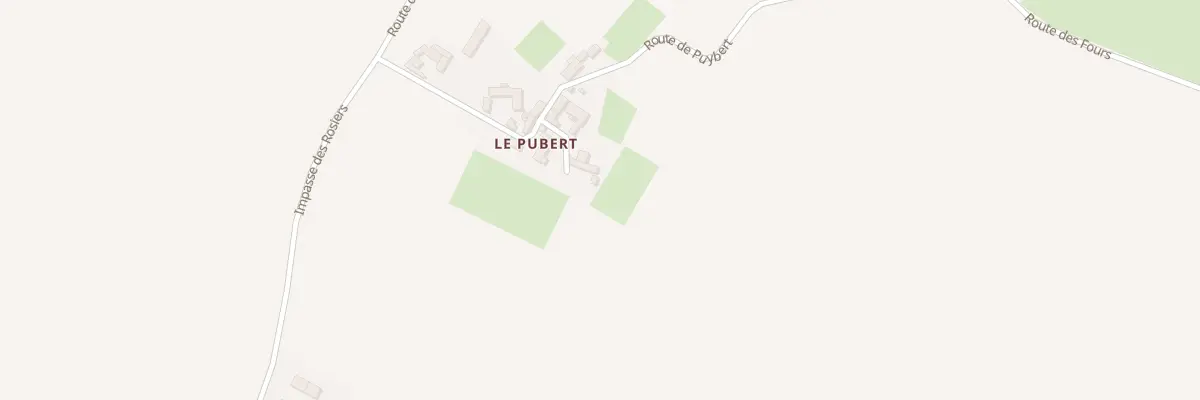 Plan du 140 Le Pubert à Parçay-sur-Vienne