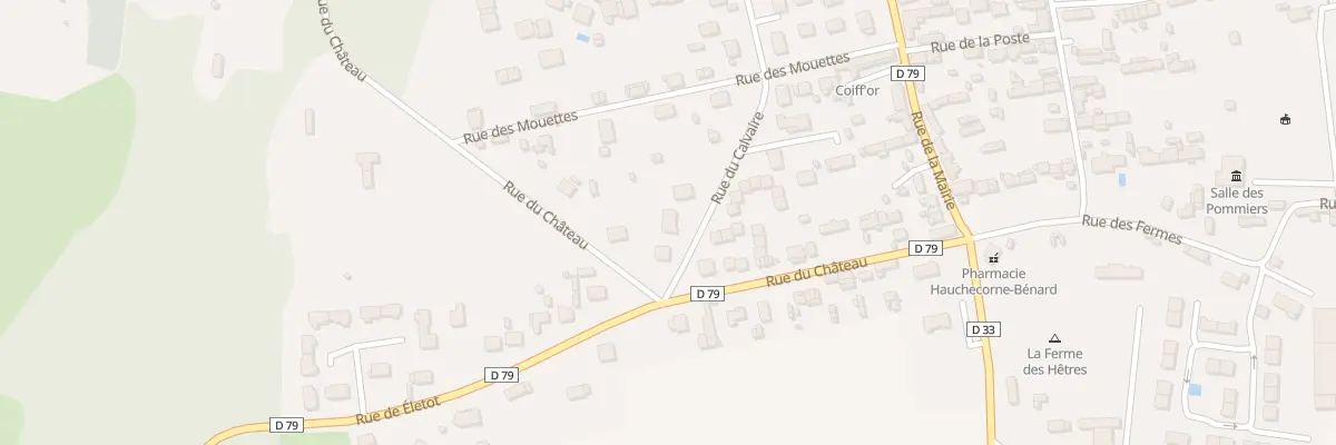 Plan du 16 Rue du Calvaire à Saint-Pierre-en-Port
