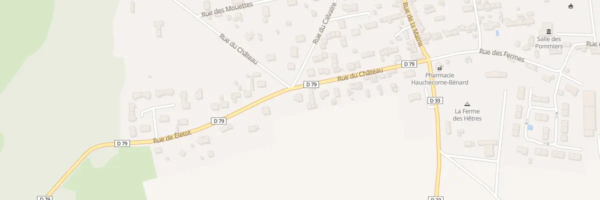 Plan du 195 Rue du Chateau à Saint-Pierre-en-Port