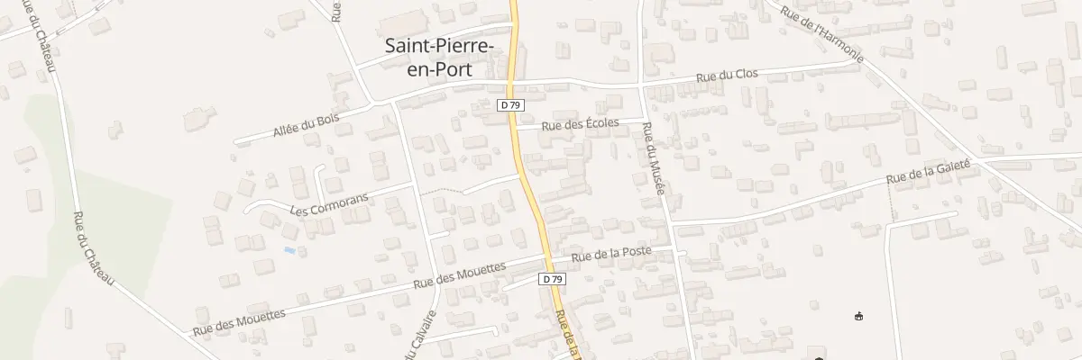 Plan du 43 Rue de la Mairie à Saint-Pierre-en-Port
