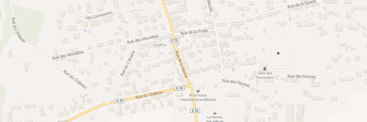 Plan du 73 Rue de la Mairie à Saint-Pierre-en-Port