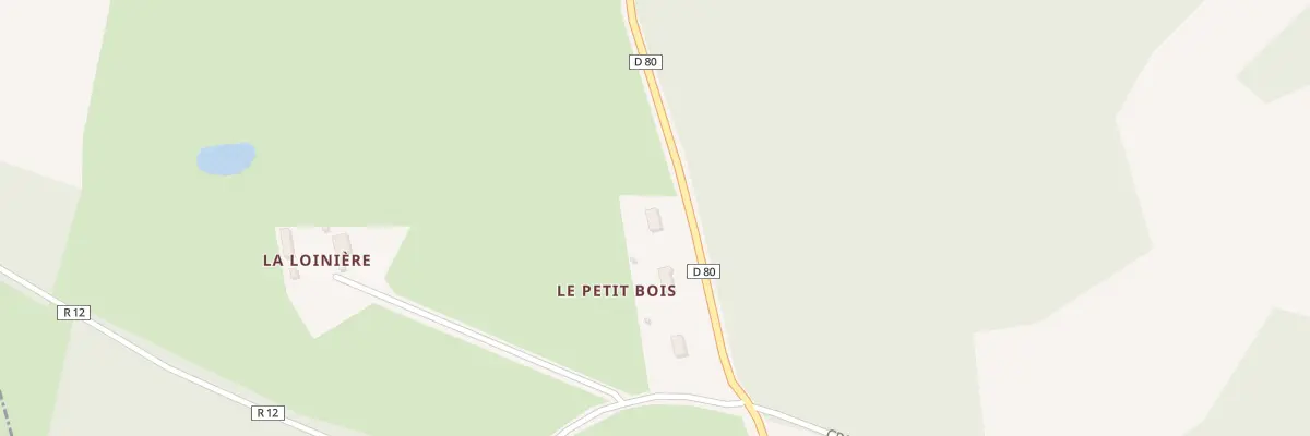 Plan du Petit Bois à Saint-Denis-des-Coudrais