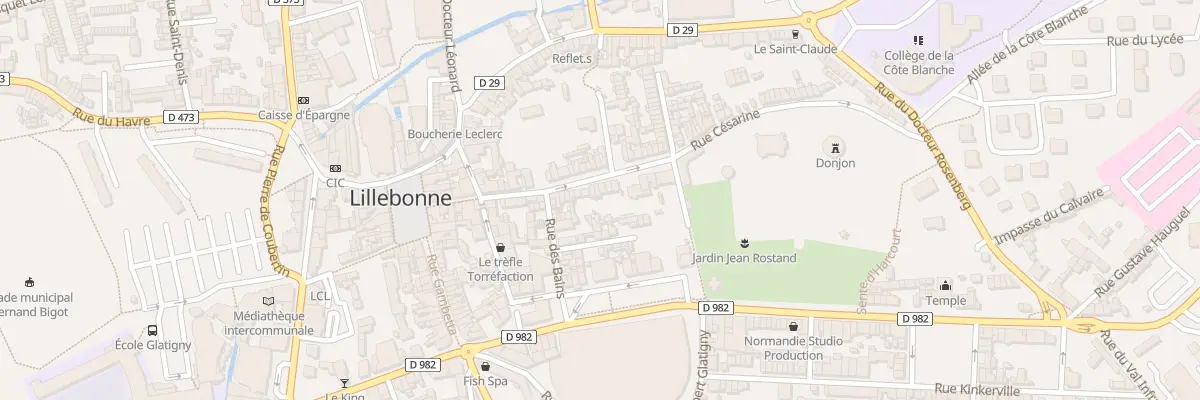 Plan du 32T Rue Cesarine à Lillebonne