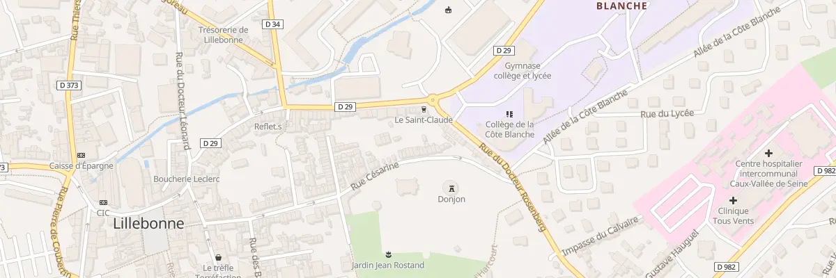 Plan du 91 Rue Cesarine à Lillebonne