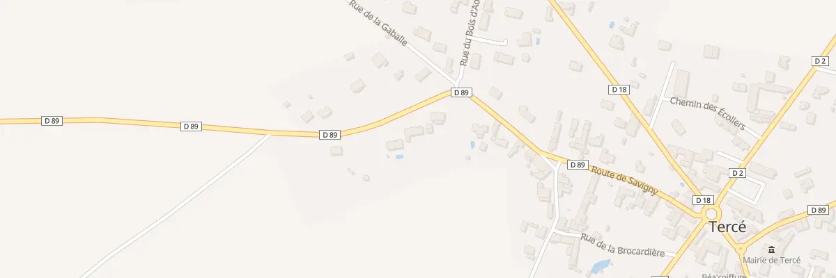 Plan du 29 Rte de Savigny à Tercé