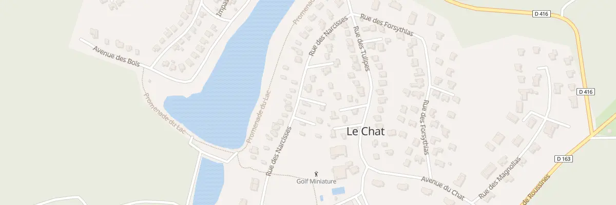 Plan du 111 Rue des Narcisses à Écuras