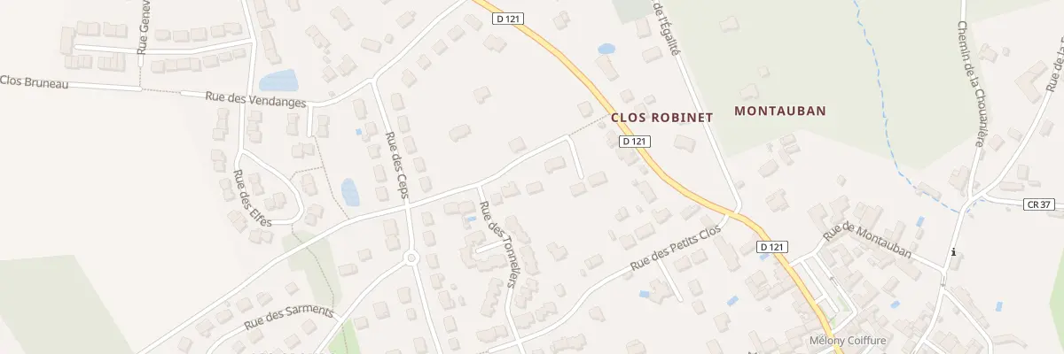Plan du 6 Rue du Malvoisie à Artannes-sur-Indre