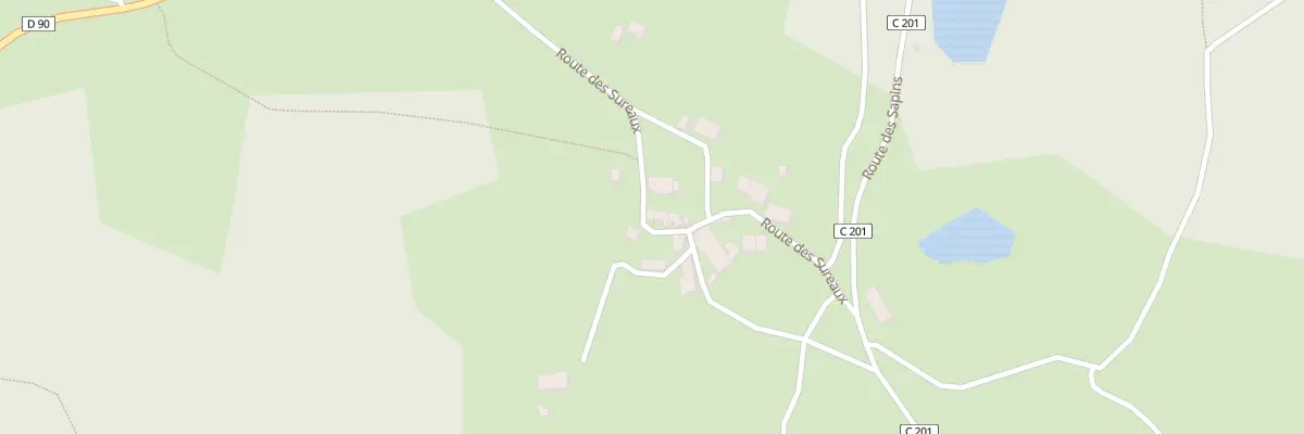 Plan du 198 Rte des Sureaux à Busserolles