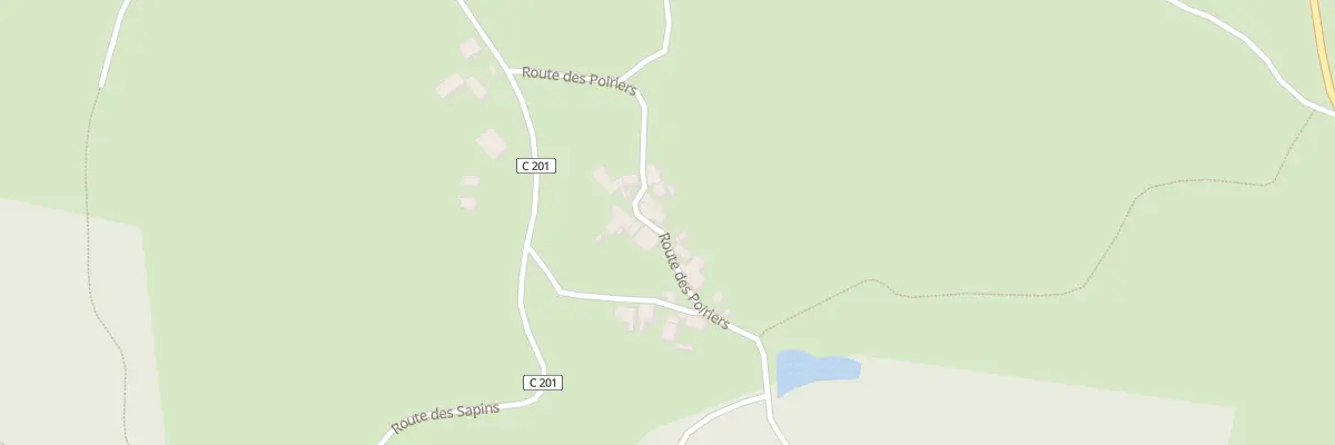 Plan du 219 Rte des Poiriers à Busserolles