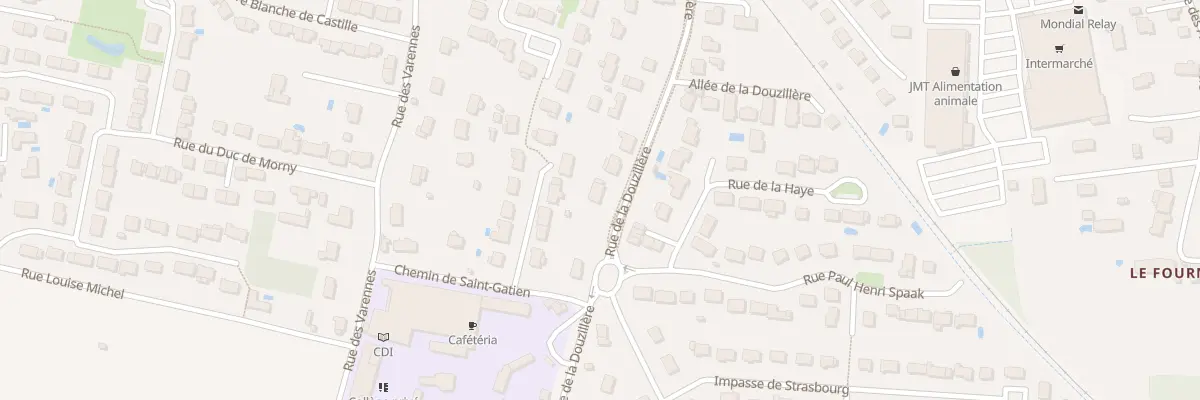 Plan du 99 Rue de la Douzillère à Joué-lès-Tours