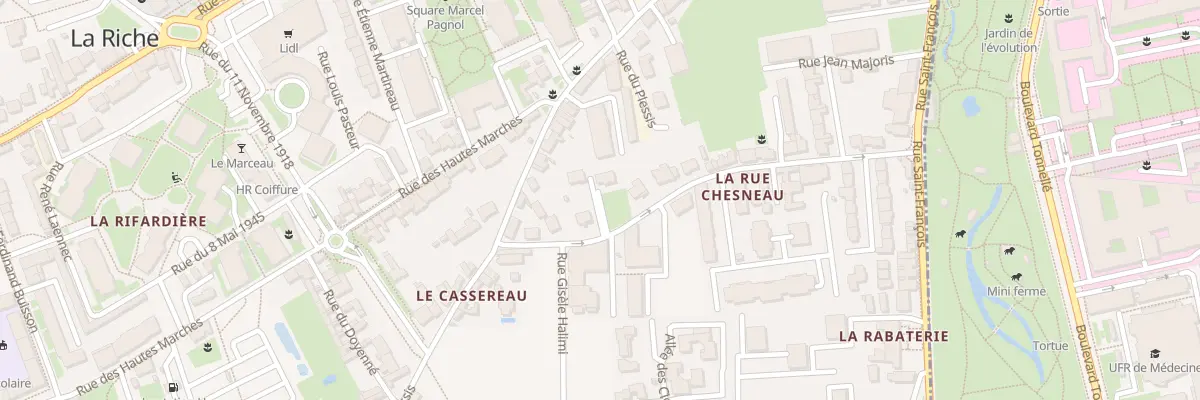Plan du 21 Rue Chesneau à La Riche