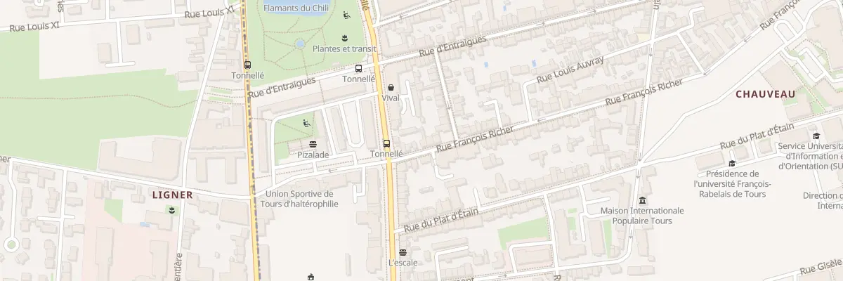 Plan du 161 Rue François Richer à Tours
