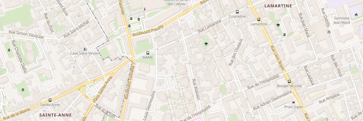 Plan du 19 Rue Walvein à Tours