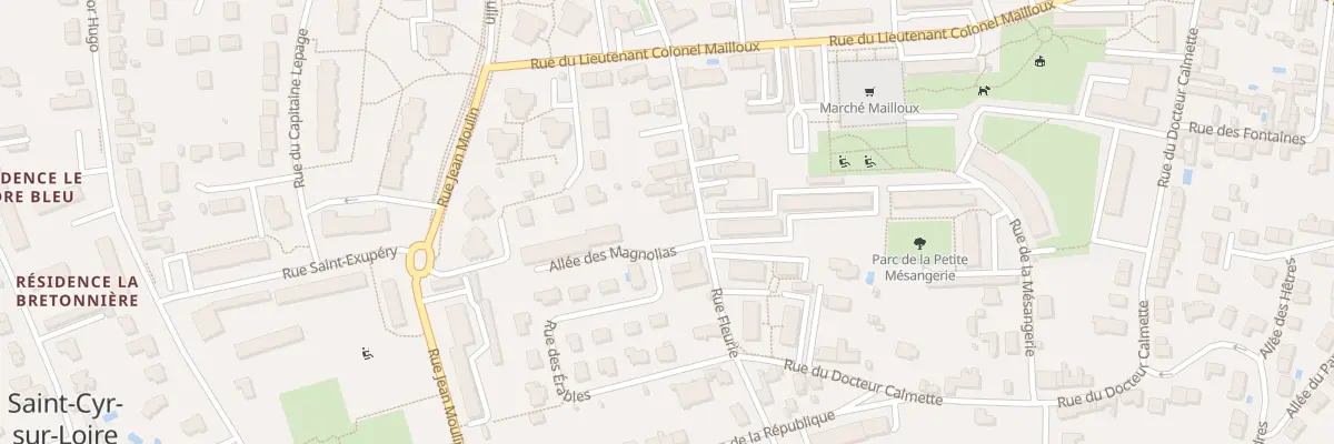 Plan du 60 Rue Fleurie à Saint-Cyr-sur-Loire