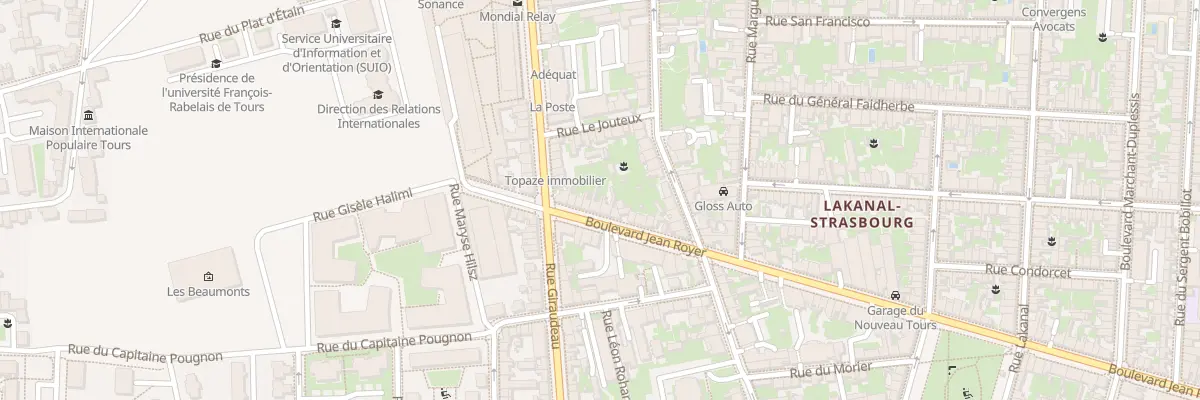 Plan du 229 Bd Jean Royer à Tours